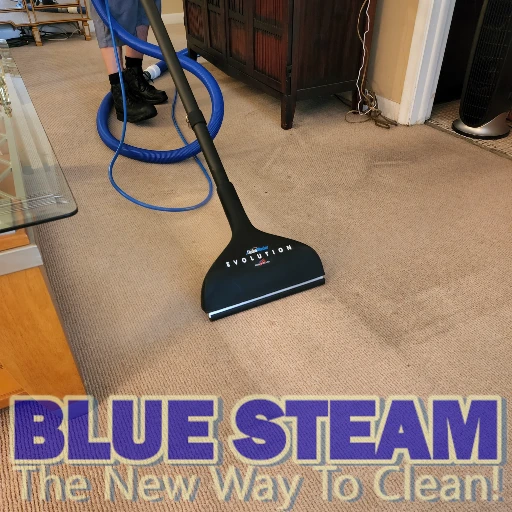 Carpet Cleaning Service Located in Delray Beach-Boca Raton