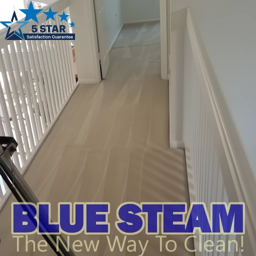 Blue Steam Residential Carpet Cleaning Service in Delray Beach-Boca Raton