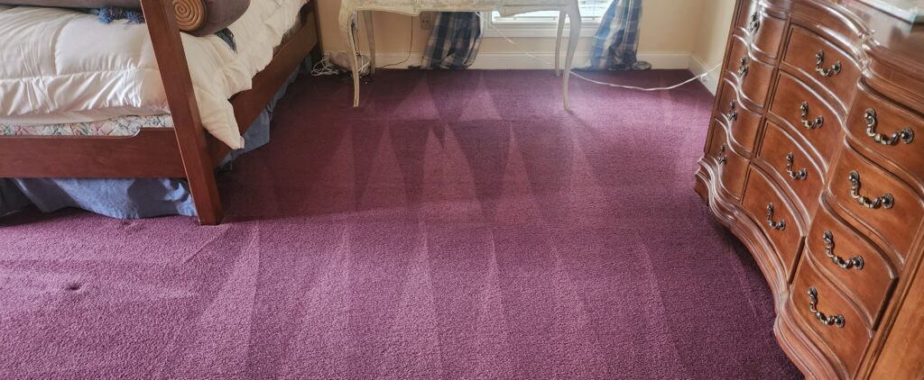 Affordable Carpet Cleaning Service In Delray Beach